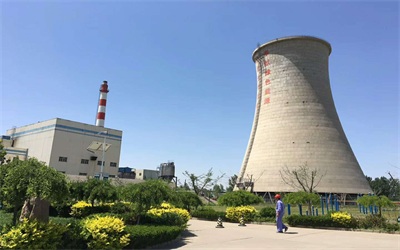 工業(yè)循環(huán)水系統(tǒng)中常見微生物的種類及危害 工業(yè)循環(huán)水系統(tǒng)中常見微生物的種類及危害